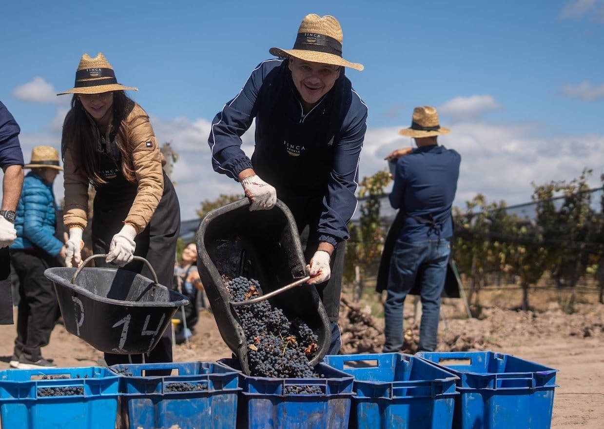 Dia Mundial do Malbec: por que a uva reina na preferência do Brasil?